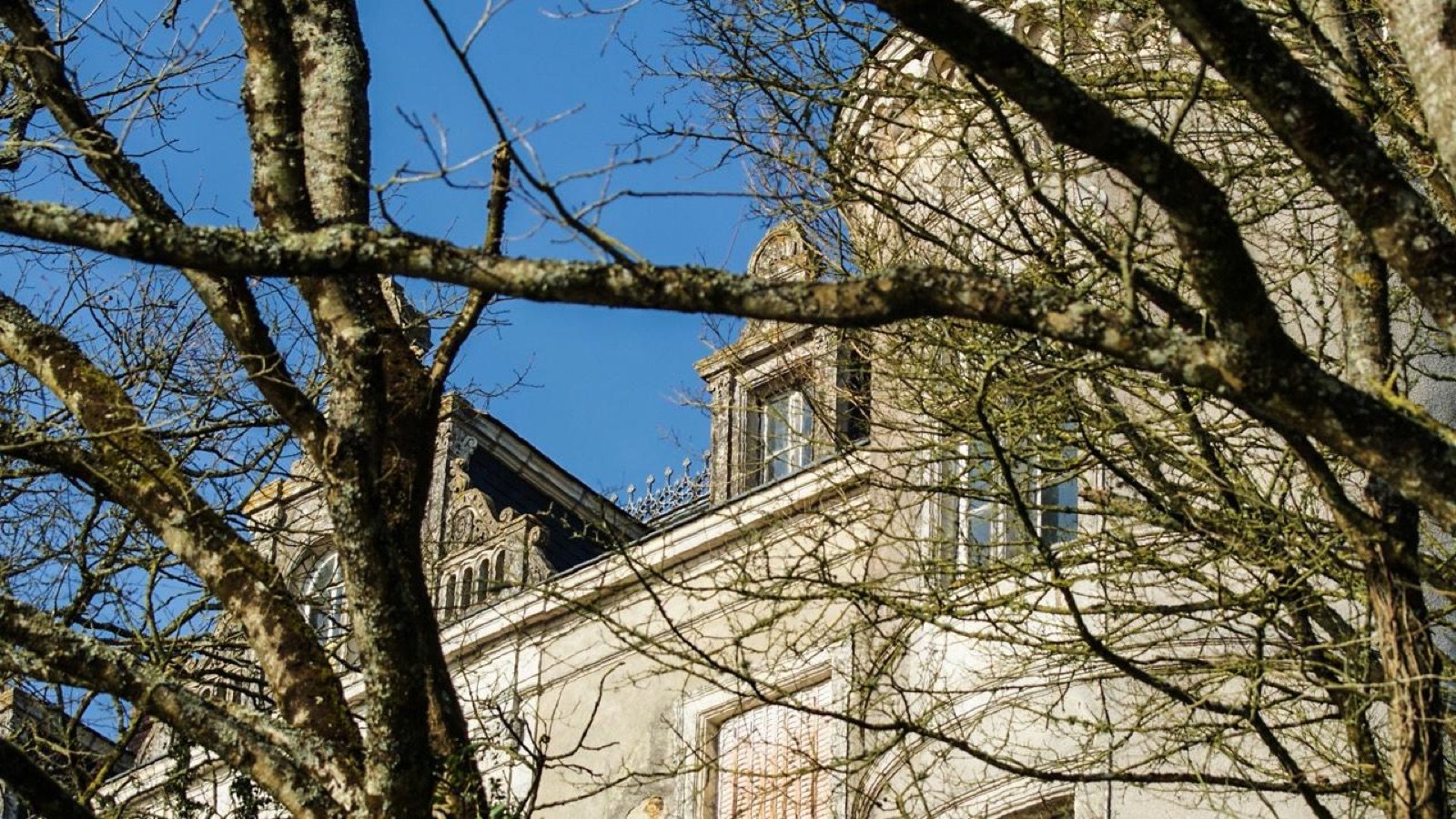 Domaine boisé autour du château de Juzet