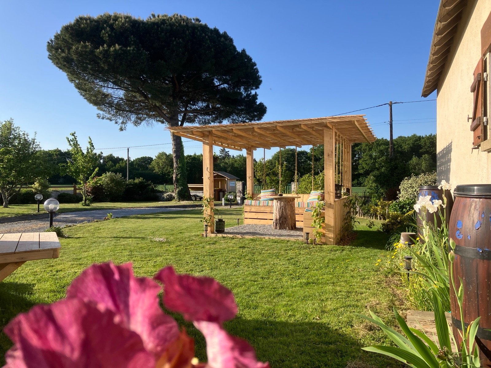 La tonnelle sous le pin parasol