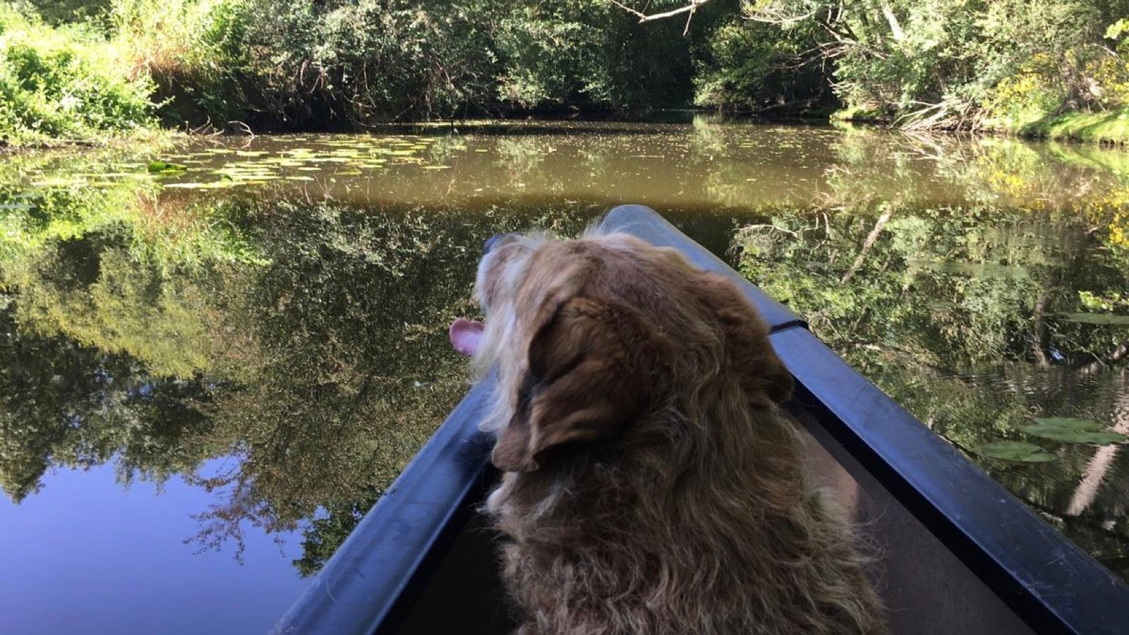 Le Don en canoë : une balade nature