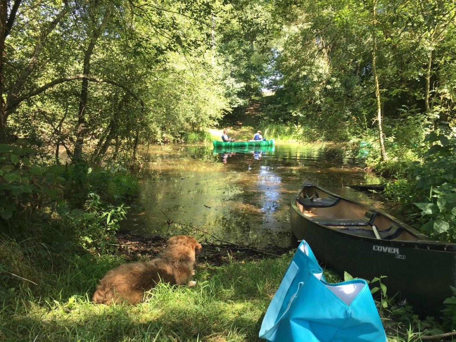 Rivière du Don serpentant entre bois et prairies