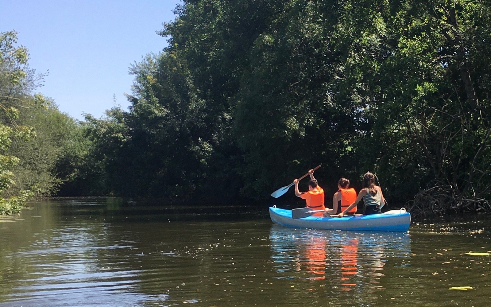 Canoë sur le Don — plusieurs parcours au choix