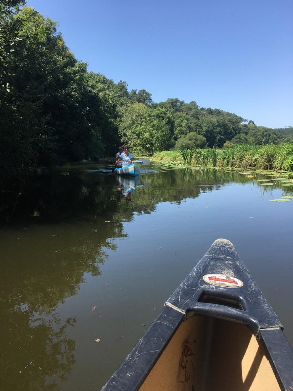 Vue depuis un canoë sur la rivière du Don