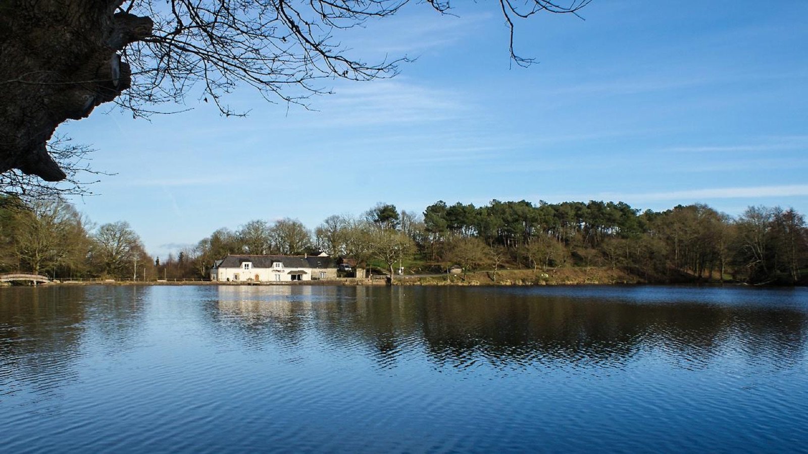 Étang de la Roche - Marsac-sur-Don