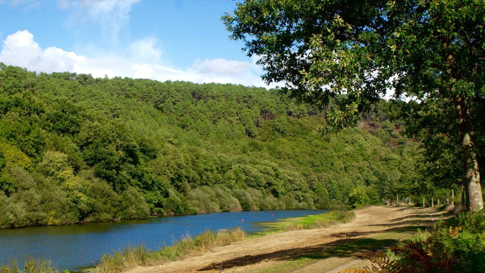 Les Prés hauts à Messac