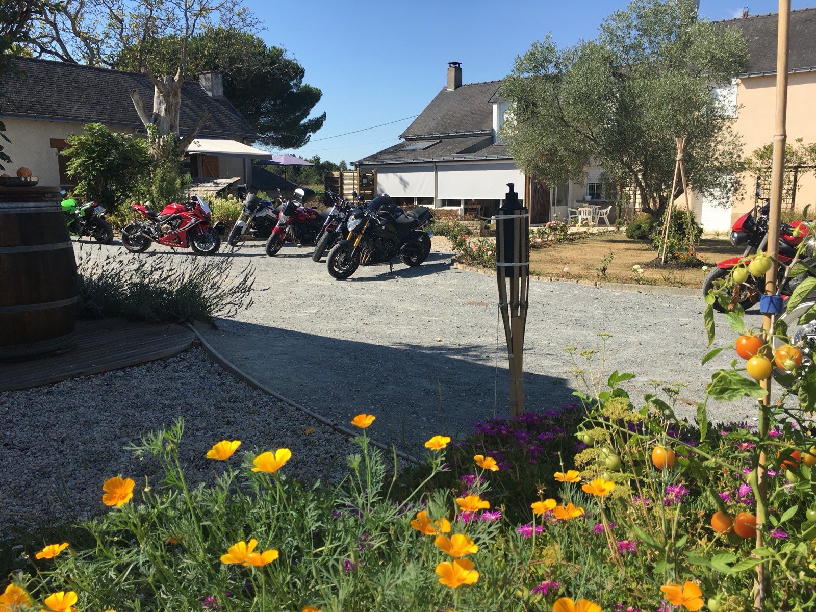 Motos dans la cour de L'Arbre émaillé