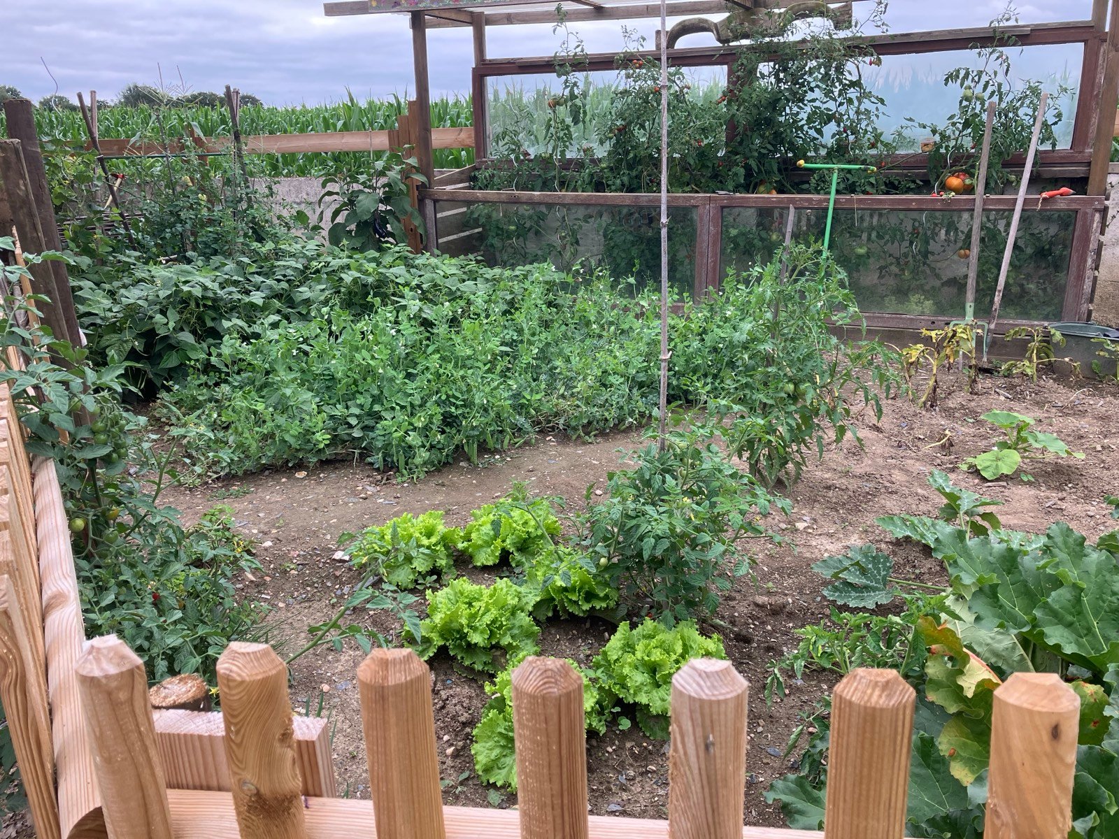 Le potager — L'Arbre émaillé